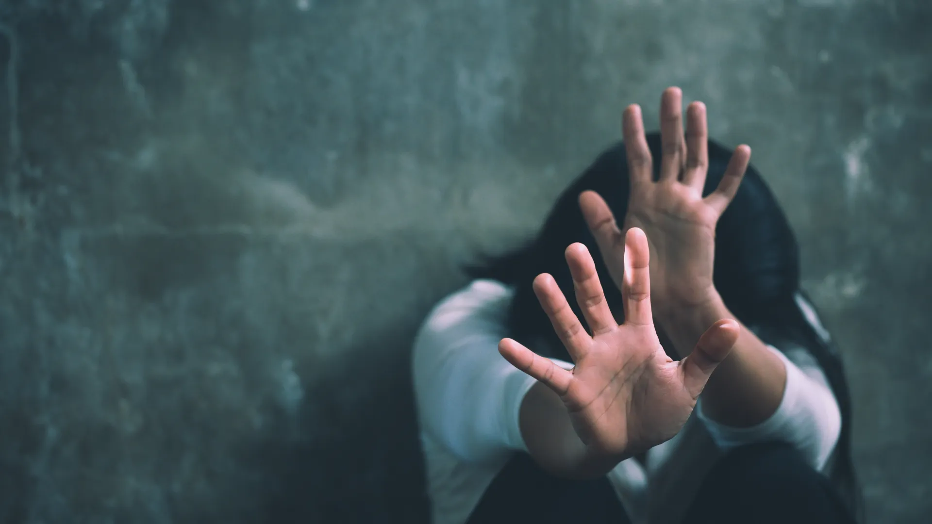 conversation with a sexual assault lawyer in sarasota